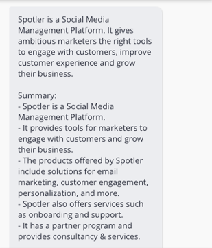 Example Bulletpoint Summary